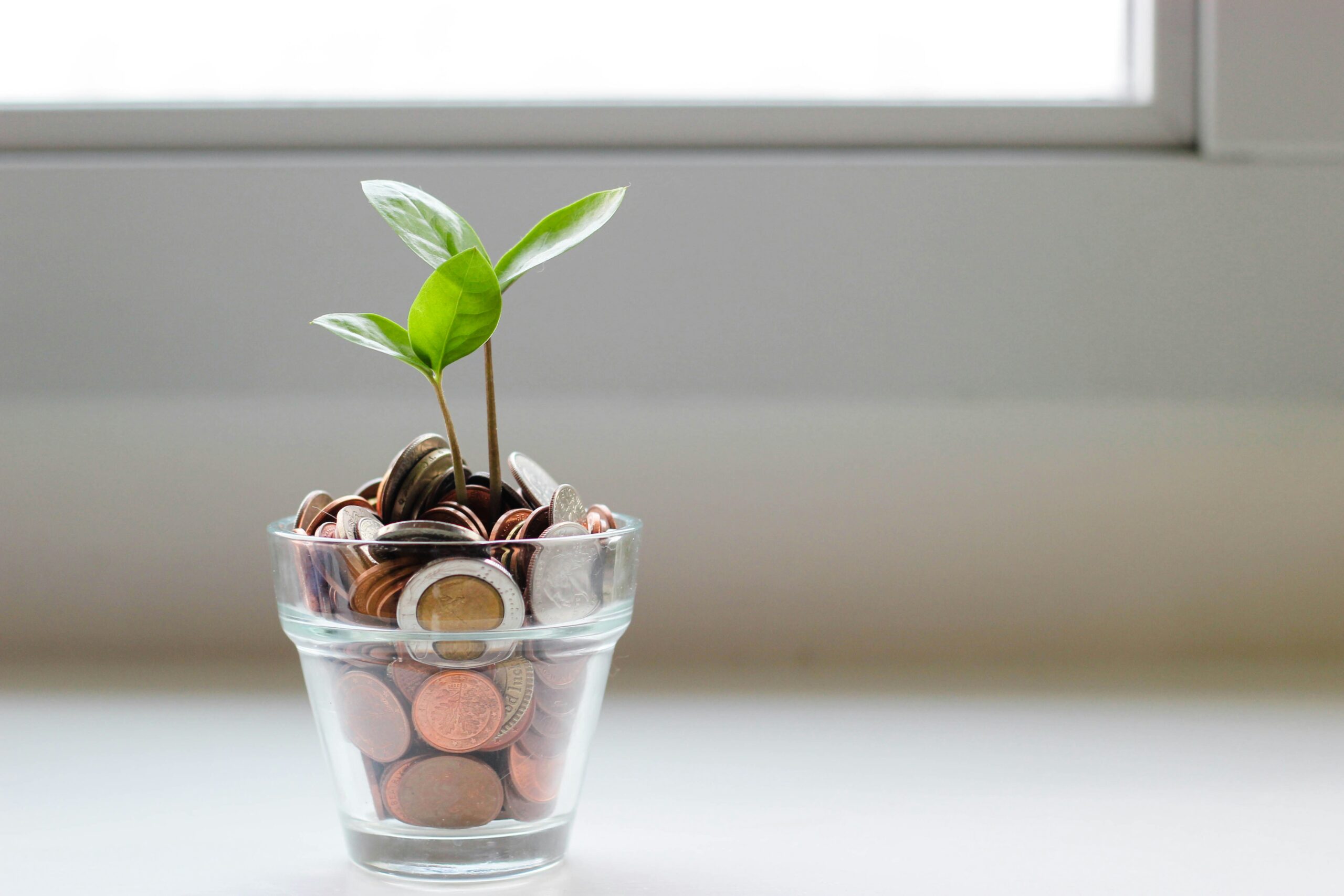 : financial safety net concept for personal finance