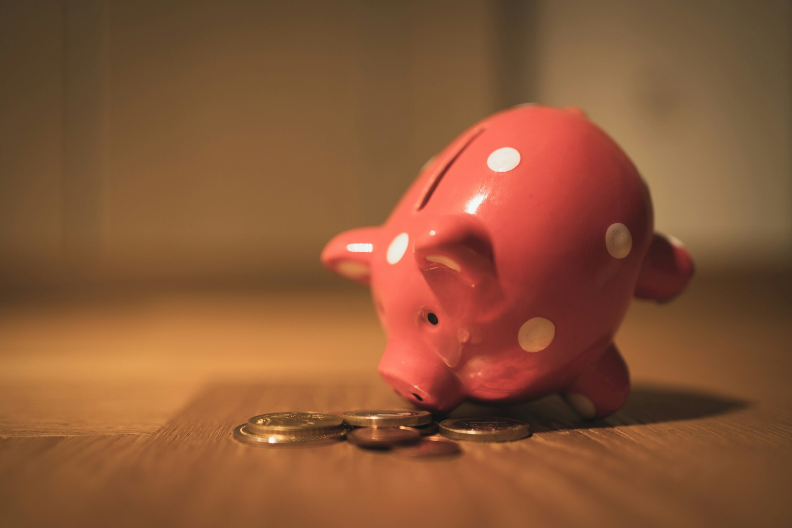 piggy bank savings for emergency fund