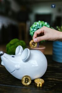 piggy bank saving money concept